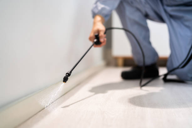 Certified termite inspector examining foundation in Cambridge