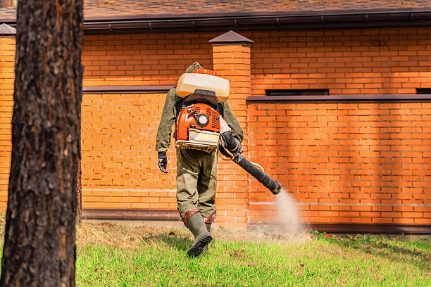 Top rated local Mosquito Control specialists in Cambridge, OH